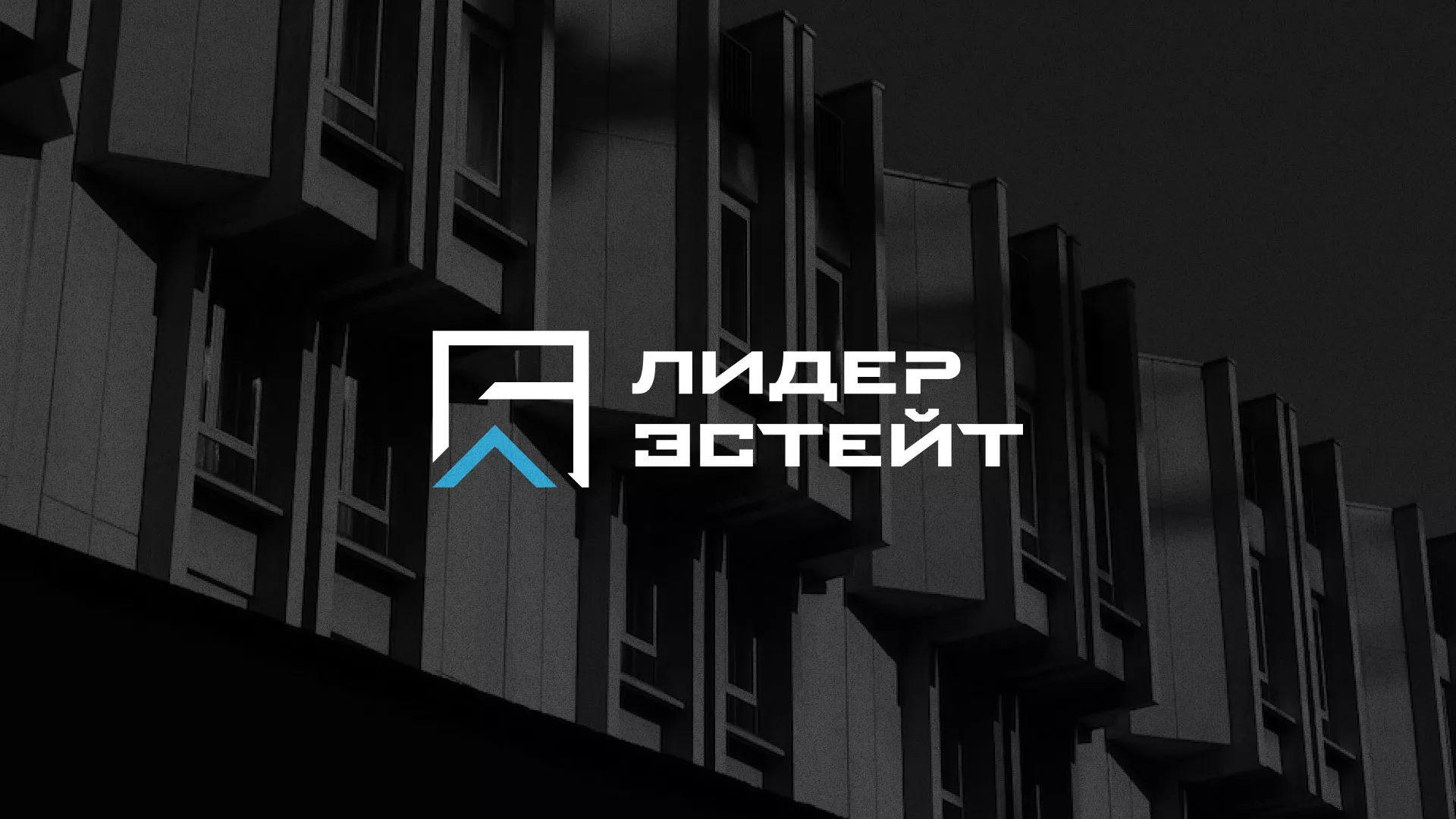Разработка логотипа агентства недвижимости «Лидер Эстейт» в Гдове